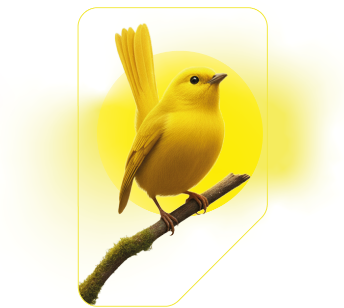 Canário amarelo pousado em um galho